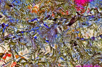N 106F